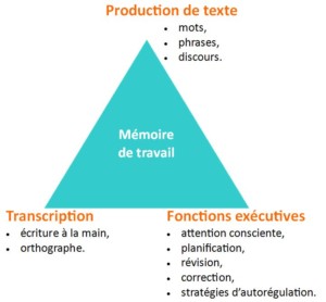 Image du triangle "Simple View of Writing"