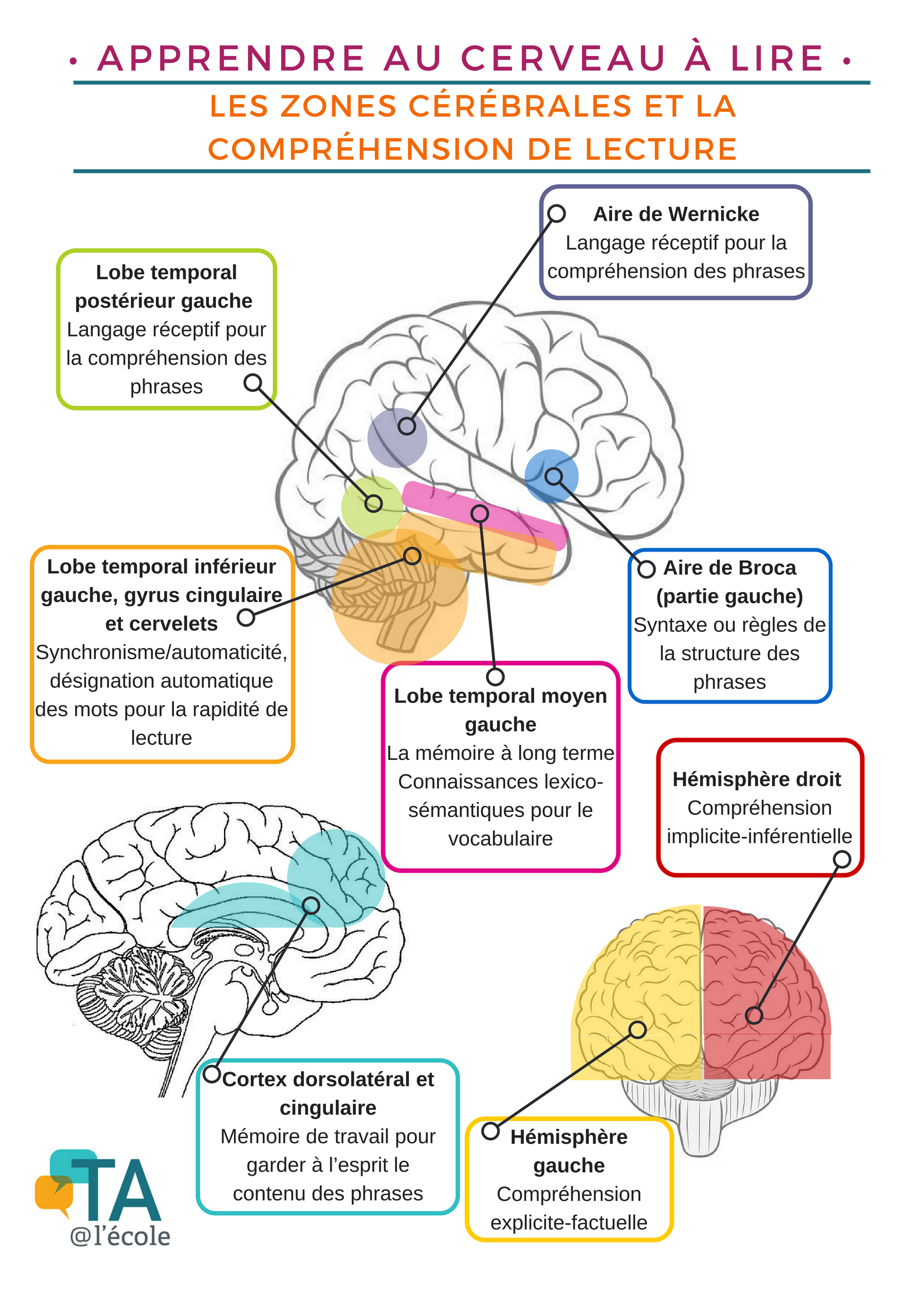 Apprendre Au Cerveau Lire Strat gies Pour Am liorer Le D codage La 