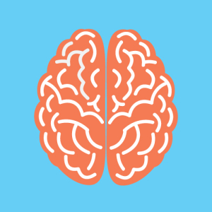 Image d'un cerveau