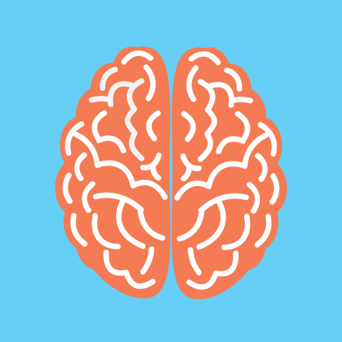Image d'un cerveau